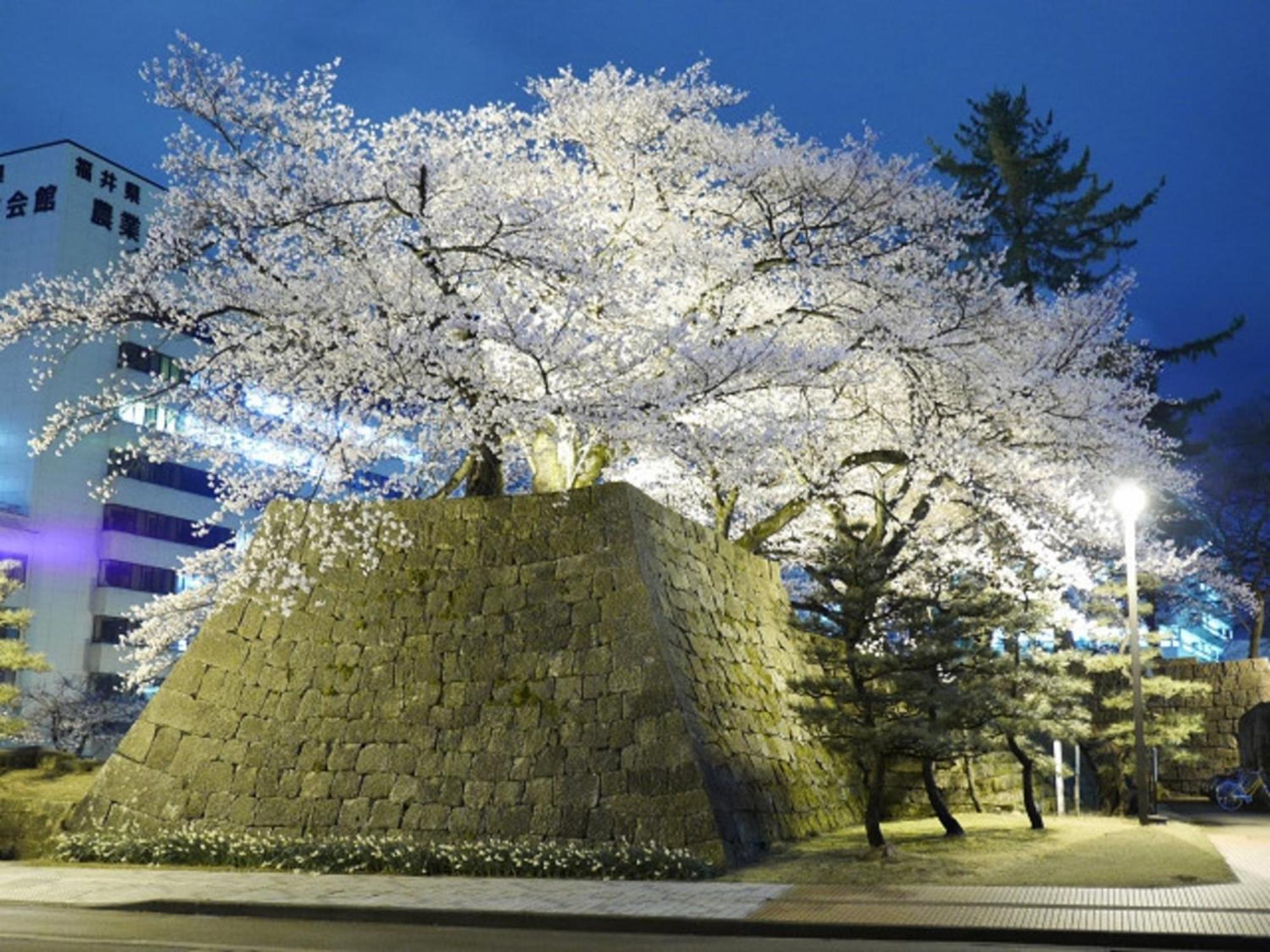 Hotel Fukui Castle - Vacation Stay 58696V Buitenkant foto